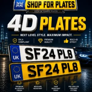 4D Plate